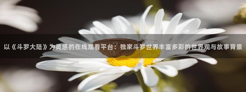 火凤燎原樱花动漫：以《斗罗大陆》为灵感的在线观看平台：独家斗罗世界丰富多彩的世界观与故事背景