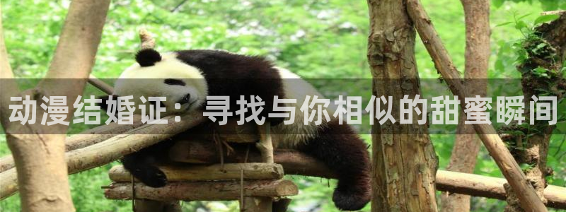 想要成为影之实力者动漫樱花动漫：动漫结婚证：寻找与你相似的甜蜜瞬间