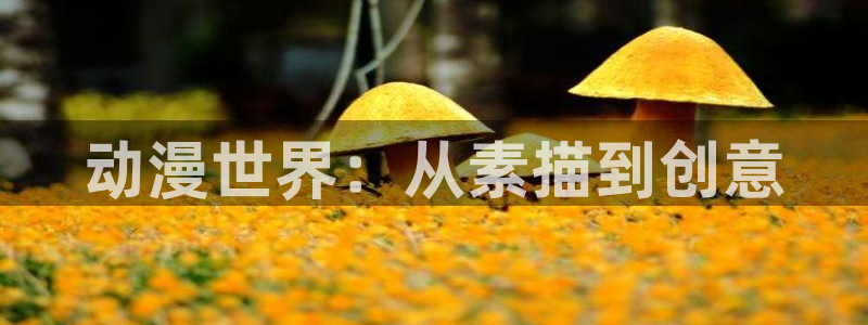 樱花动漫官网imomoe版专注动漫：动漫世界：从素描到创意